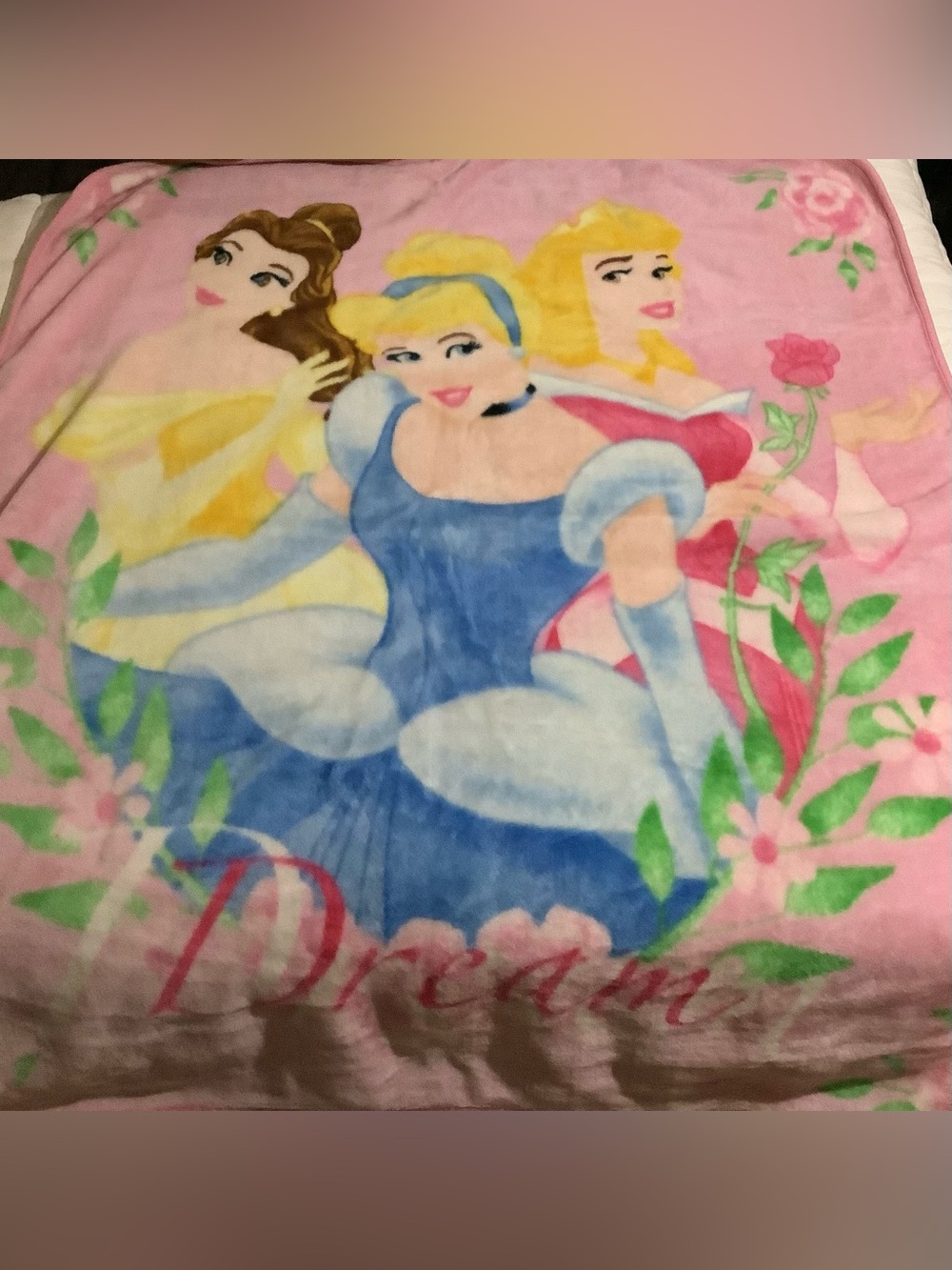 Vintage Disney Princess Dream Blanket